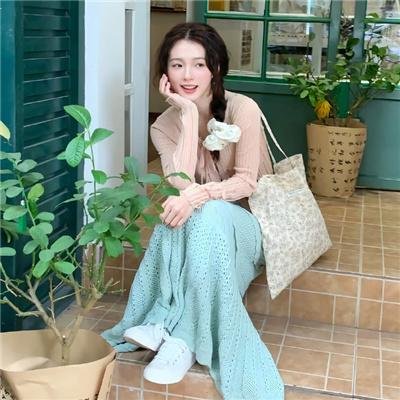 大明天子